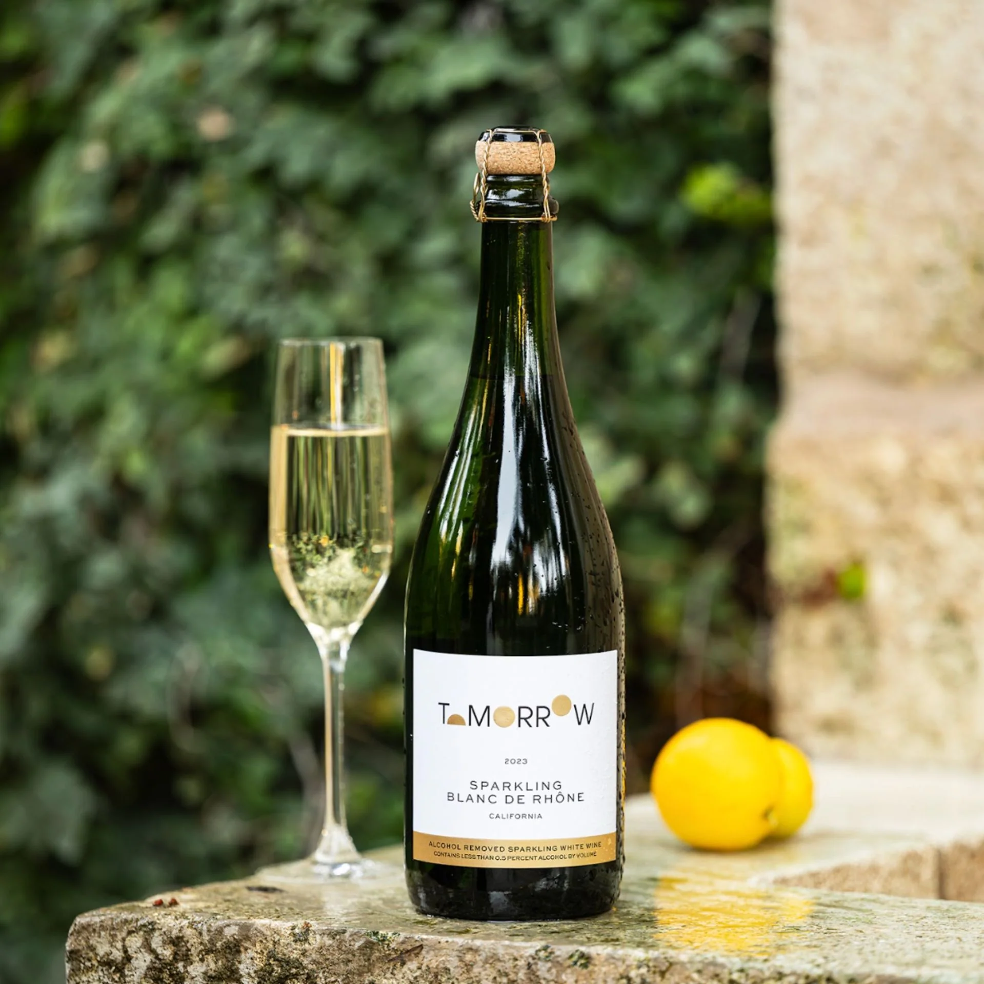 Tomorrow Cellars - 2023 Sparkling Blanc De Rhône 750ml - Image 3